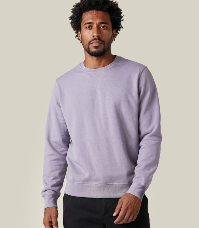 Crewneck Regular Fit Thumbnail