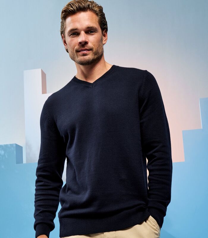 Men's cotton blend v-neck sweater Thumbnail